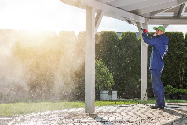 Best Graffiti Removal  in Perryville, MD