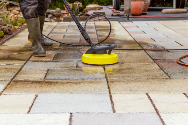 Best Roof Washing  in Perryville, MD